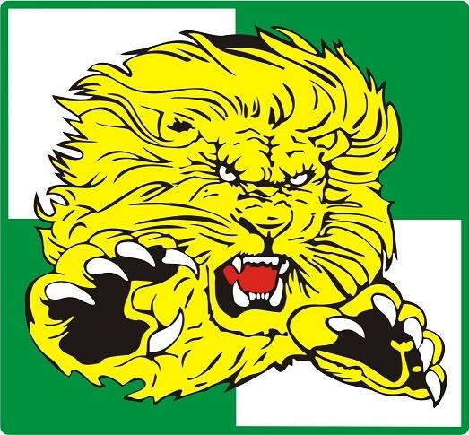 Włókniarz Częstochowa, logo klubu, żółty Lew na biało-zielonym tle