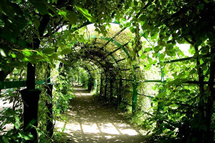 Tunel roślinny, ekologiczna architektura miejska, najlepszy quiz ogólny